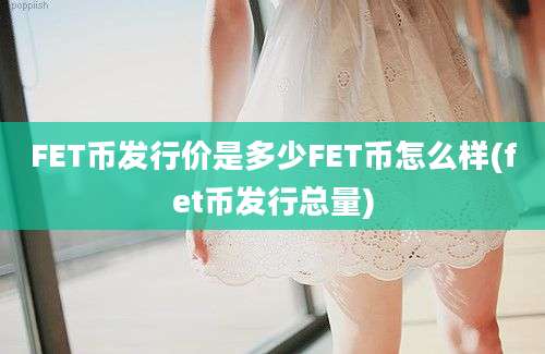 FET币发行价是多少FET币怎么样(fet币发行总量)