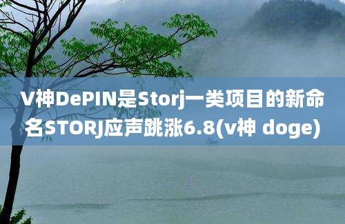 V神DePIN是Storj一类项目的新命名STORJ应声跳涨6.8(v神 doge)