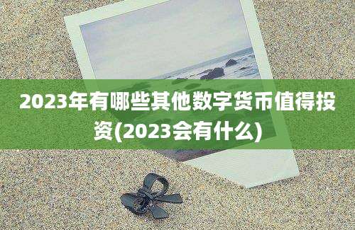 2023年有哪些其他数字货币值得投资(2023会有什么)