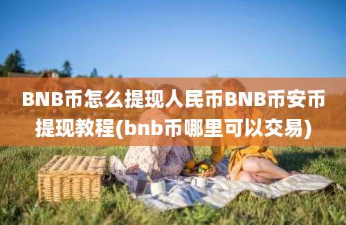 BNB币怎么提现人民币BNB币安币提现教程(bnb币哪里可以交易)