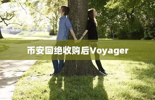 币安回绝收购后Voyager