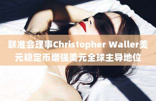 联准会理事Christopher Waller美元稳定币增强美元全球主导地位