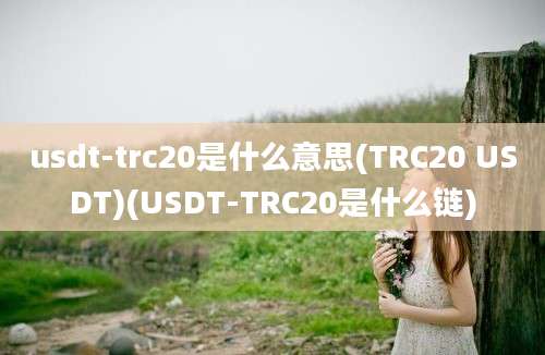 usdt-trc20是什么意思(TRC20 USDT)(USDT-TRC20是什么链)