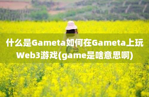 什么是Gameta如何在Gameta上玩Web3游戏(game是啥意思啊)