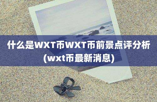 什么是WXT币WXT币前景点评分析(wxt币最新消息)