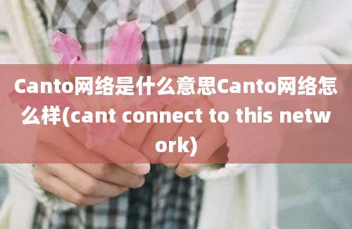 Canto网络是什么意思Canto网络怎么样(cant connect to this network)