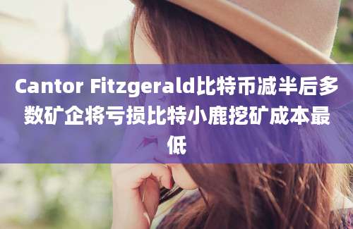 Cantor Fitzgerald比特币减半后多数矿企将亏损比特小鹿挖矿成本最低