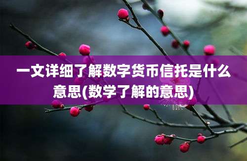 一文详细了解数字货币信托是什么意思(数学了解的意思)