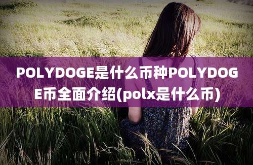 POLYDOGE是什么币种POLYDOGE币全面介绍(polx是什么币)