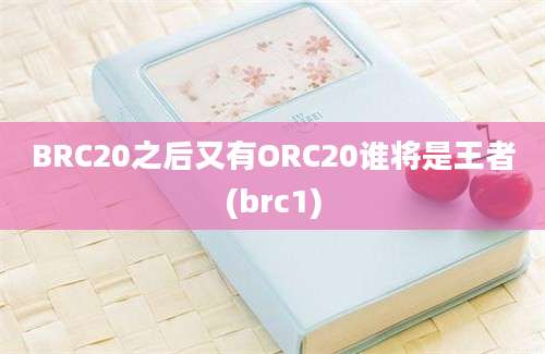 BRC20之后又有ORC20谁将是王者(brc1)