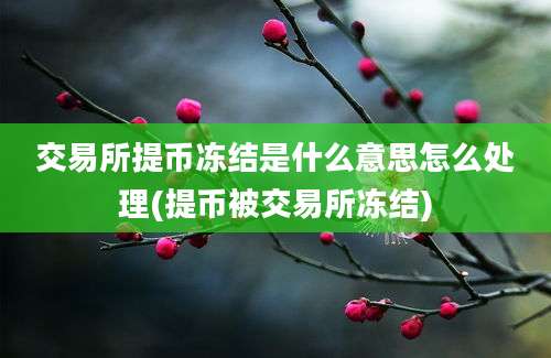 交易所提币冻结是什么意思怎么处理(提币被交易所冻结)