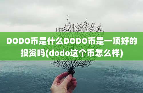 DODO币是什么DODO币是一项好的投资吗(dodo这个币怎么样)