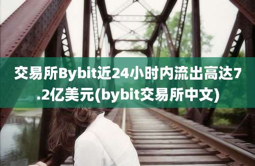 交易所Bybit近24小时内流出高达7.2亿美元(bybit交易所中文)