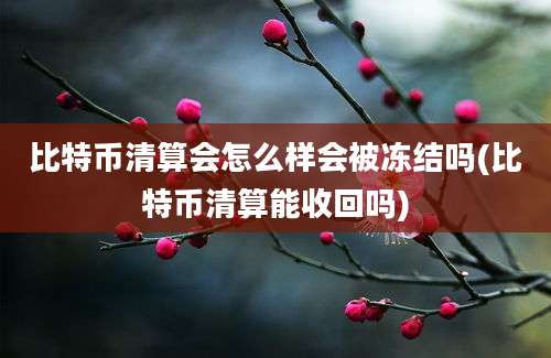 比特币清算会怎么样会被冻结吗(比特币清算能收回吗)