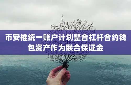 币安推统一账户计划整合杠杆合约钱包资产作为联合保证金