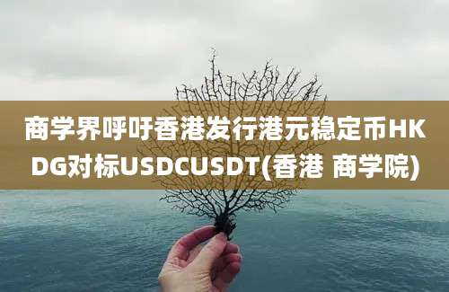 商学界呼吁香港发行港元稳定币HKDG对标USDCUSDT(香港 商学院)