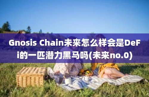 Gnosis Chain未来怎么样会是DeFi的一匹潜力黑马吗(未来no.0)