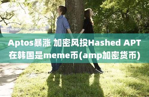 Aptos暴涨 加密风投Hashed APT在韩国是meme币(amp加密货币)