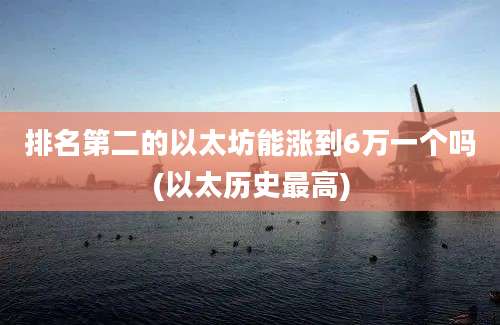 排名第二的以太坊能涨到6万一个吗(以太历史最高)