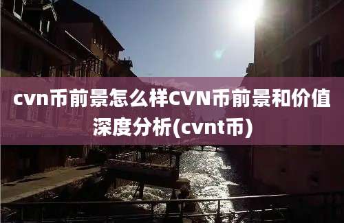 cvn币前景怎么样CVN币前景和价值深度分析(cvnt币)