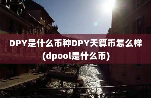 DPY是什么币种DPY天算币怎么样(dpool是什么币)