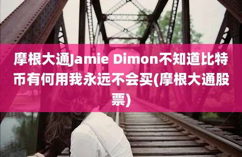 摩根大通Jamie Dimon不知道比特币有何用我永远不会买(摩根大通股票)