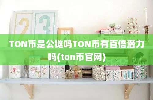 TON币是公链吗TON币有百倍潜力吗(ton币官网)