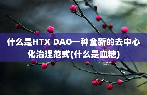 什么是HTX DAO一种全新的去中心化治理范式(什么是血糖)