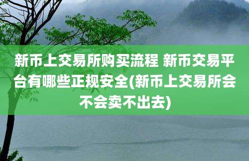 新币上交易所购买流程 新币交易平台有哪些正规安全(新币上交易所会不会卖不出去)