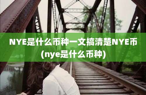 NYE是什么币种一文搞清楚NYE币(nye是什么币种)