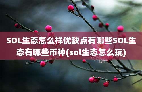 SOL生态怎么样优缺点有哪些SOL生态有哪些币种(sol生态怎么玩)