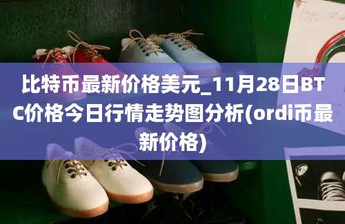 比特币最新价格美元_11月28日BTC价格今日行情走势图分析(ordi币最新价格)