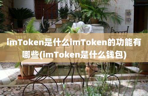 imToken是什么imToken的功能有哪些(imToken是什么钱包)