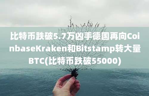 比特币跌破5.7万凶手德国再向CoinbaseKraken和Bitstamp转大量BTC(比特币跌破55000)