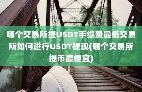 哪个交易所提USDT手续费最低交易所如何进行USDT提现(哪个交易所提币最便宜)