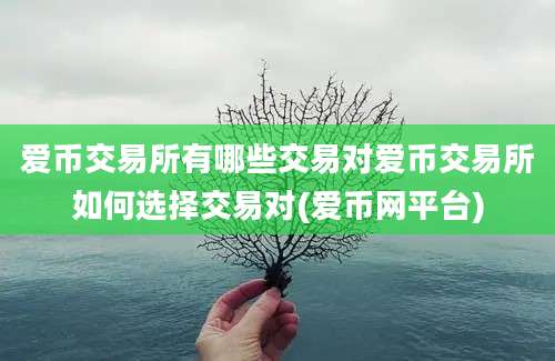 爱币交易所有哪些交易对爱币交易所如何选择交易对(爱币网平台)