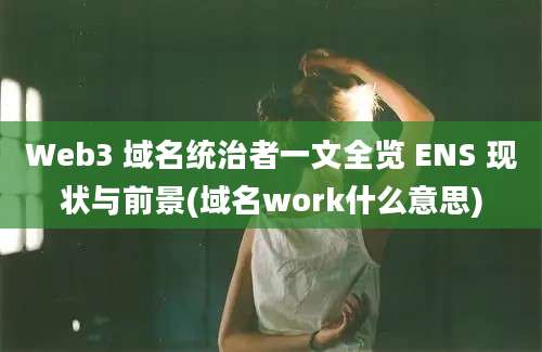 Web3 域名统治者一文全览 ENS 现状与前景(域名work什么意思)