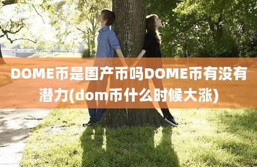 DOME币是国产币吗DOME币有没有潜力(dom币什么时候大涨)