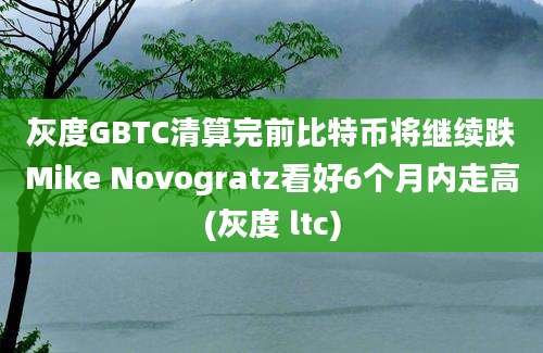 灰度GBTC清算完前比特币将继续跌Mike Novogratz看好6个月内走高(灰度 ltc)