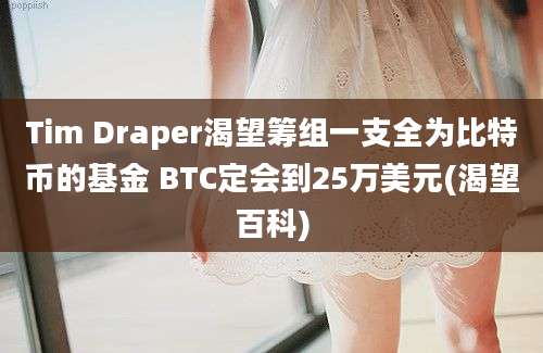 Tim Draper渴望筹组一支全为比特币的基金 BTC定会到25万美元(渴望百科)