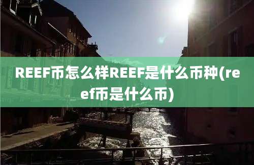 REEF币怎么样REEF是什么币种(reef币是什么币)