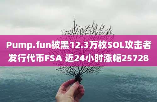 Pump.fun被黑12.3万枚SOL攻击者发行代币FSA 近24小时涨幅25728