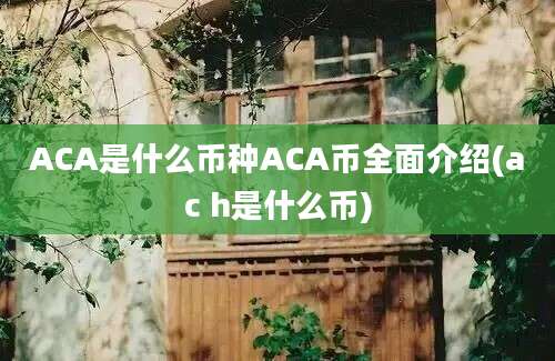 ACA是什么币种ACA币全面介绍(ac h是什么币)