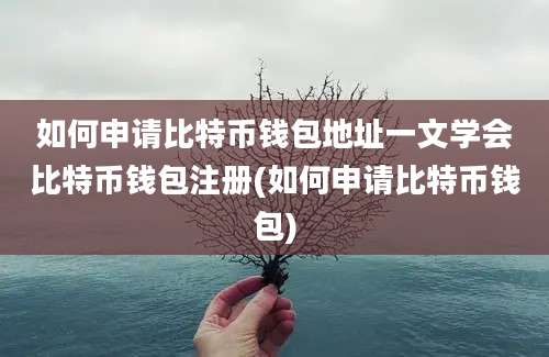 如何申请比特币钱包地址一文学会比特币钱包注册(如何申请比特币钱包)