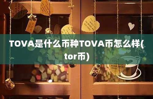 TOVA是什么币种TOVA币怎么样(tor币)