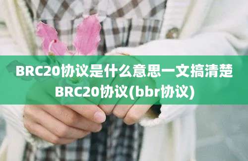 BRC20协议是什么意思一文搞清楚BRC20协议(bbr协议)