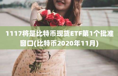 1117将是比特币现货ETF第1个批准窗口(比特币2020年11月)