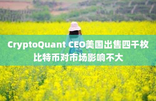 CryptoQuant CEO美国出售四千枚比特币对市场影响不大