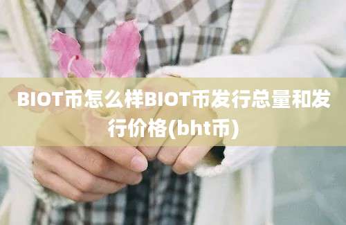 BIOT币怎么样BIOT币发行总量和发行价格(bht币)