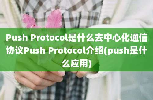 Push Protocol是什么去中心化通信协议Push Protocol介绍(push是什么应用)